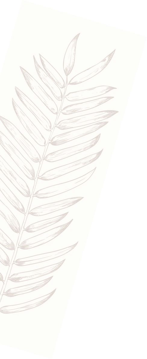 daun