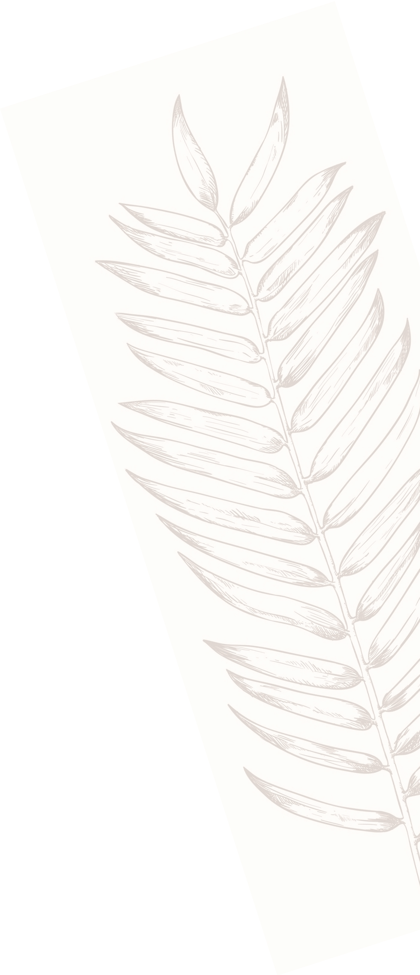 daun